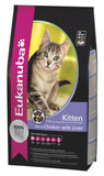 Eukanuba Kitten