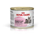 Royal Canin Babycat Instinctive (12 x cans) NEW