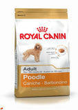Royal Canin Poodle Adult