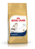 Royal Canin Ragdoll Adult NEW