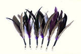 ComfyPet Da Bird Refill Feathers (Original)