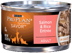 Proplan Cat Canned Salmon & Rice Entrée 85g x 24 Tins