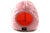 ComfyPet Igloo