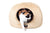 ComfyPet Igloo