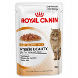 Royan Canin Intense Beauty in Jelly (12 x Pouches)